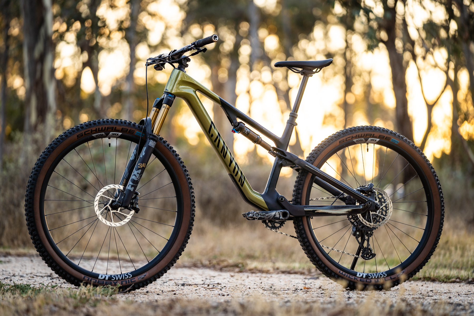 Best Trail Bikes Canyon Neuron
