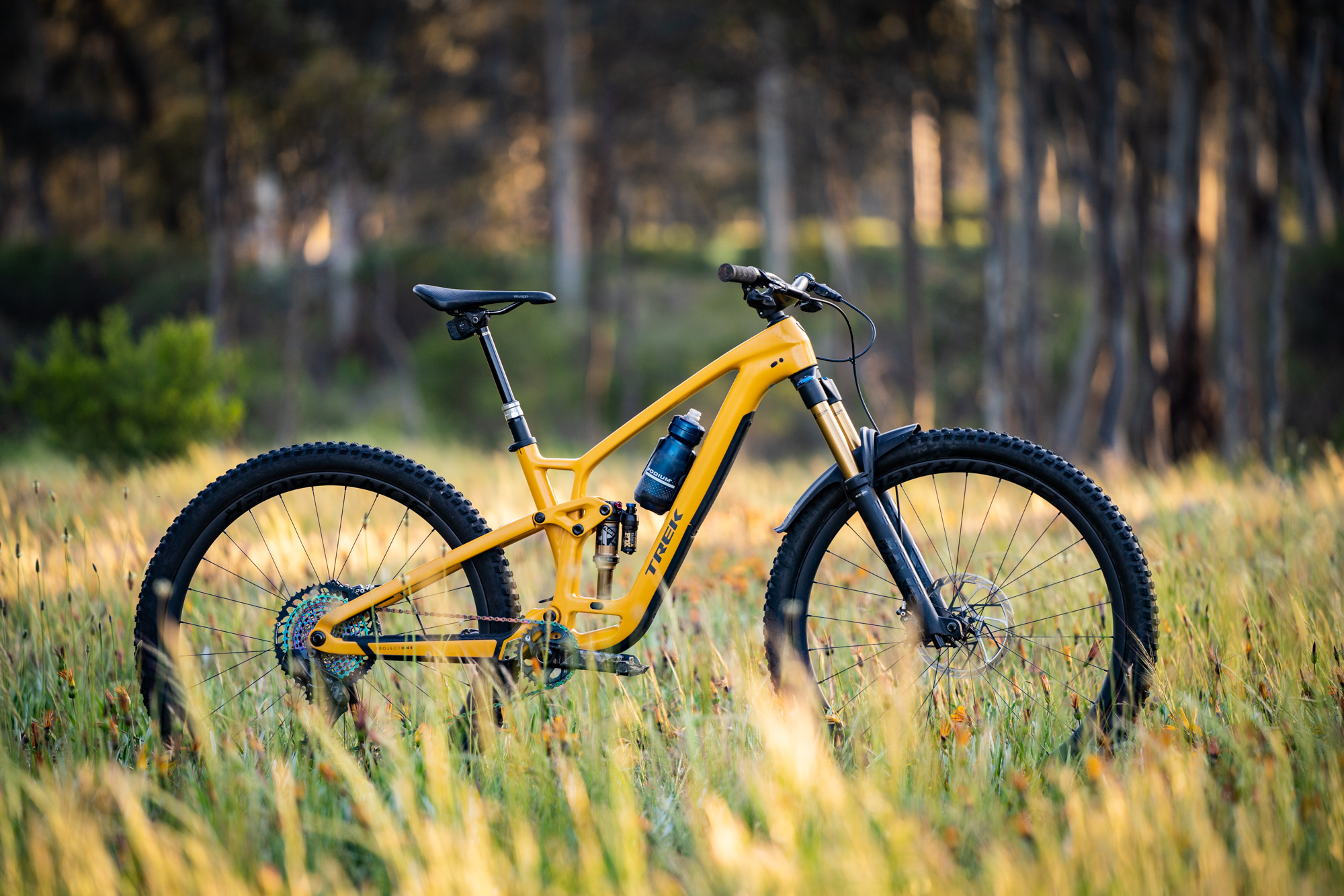 Best Trail Bikes Trek Fuel EX