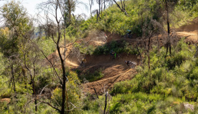 Fox Creek