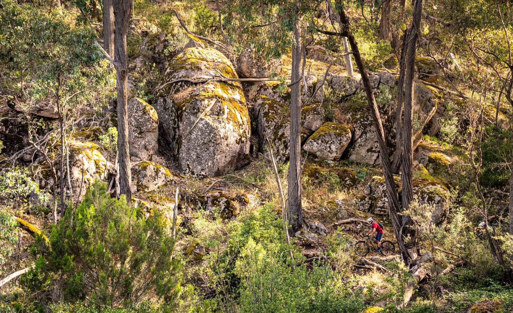 mountain biking in beechworth, victoria