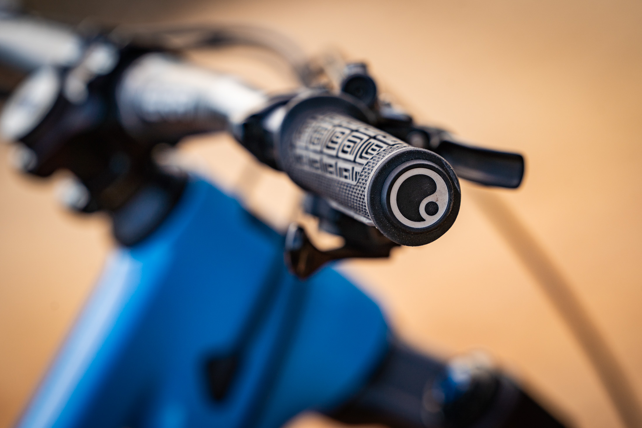 ergon gdh team grips