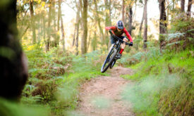 Thumbnail of http://Testing%20the%20Scott%20Spark%20on%20Buxton's%20mountain%20bike%20trails