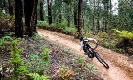 Thumbnail of http://riding%20the%20Buxton%20Mountain%20Bike%20park%20aboard%20a%20Scott%20Spark
