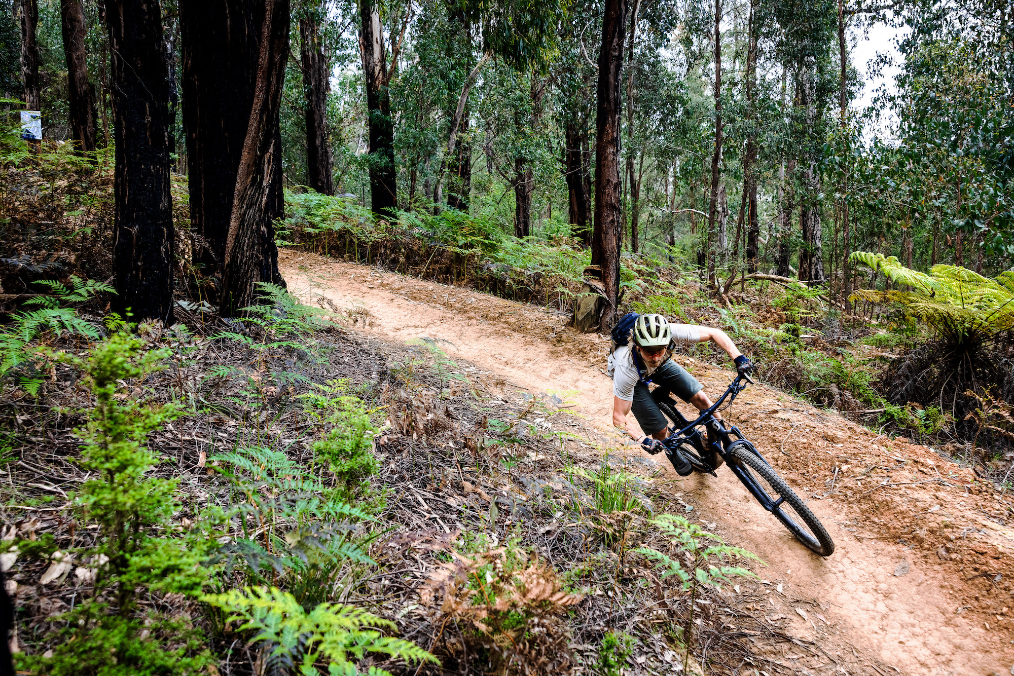 riding the Buxton Mountain Bike park aboard a Scott Spark