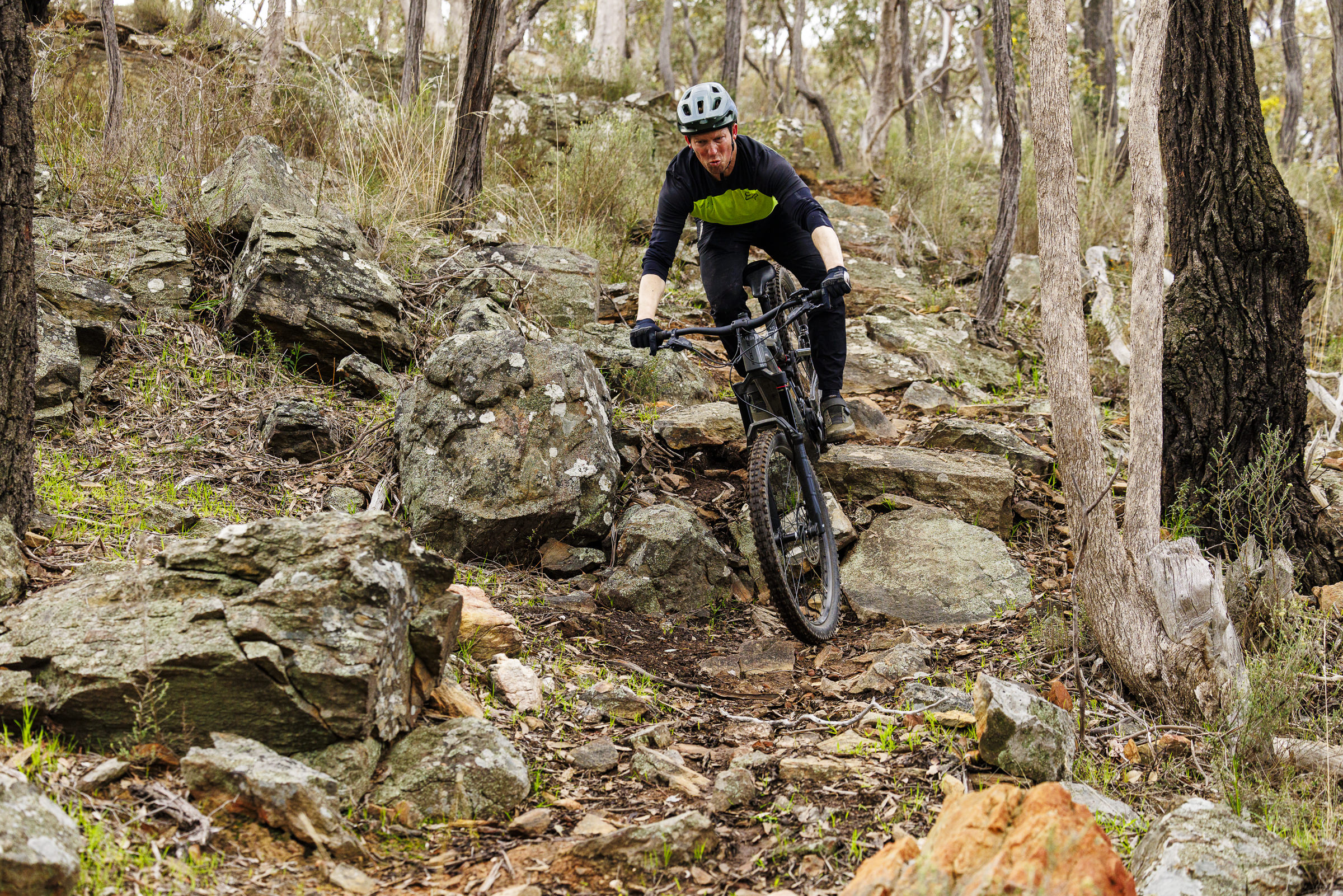 2024 focus sam2 6.7 emtb bosch
