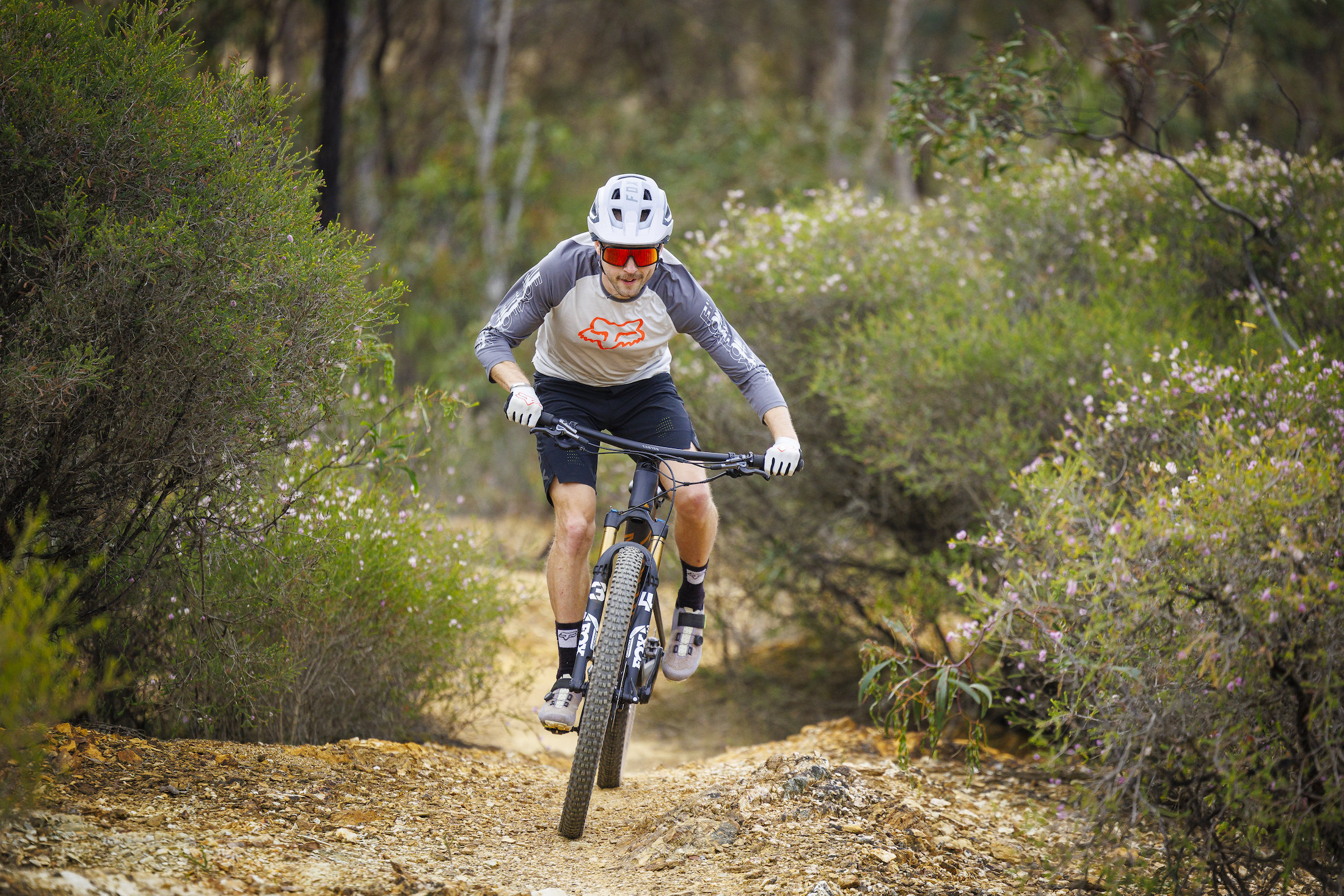 2024 canyon lux trail cfr