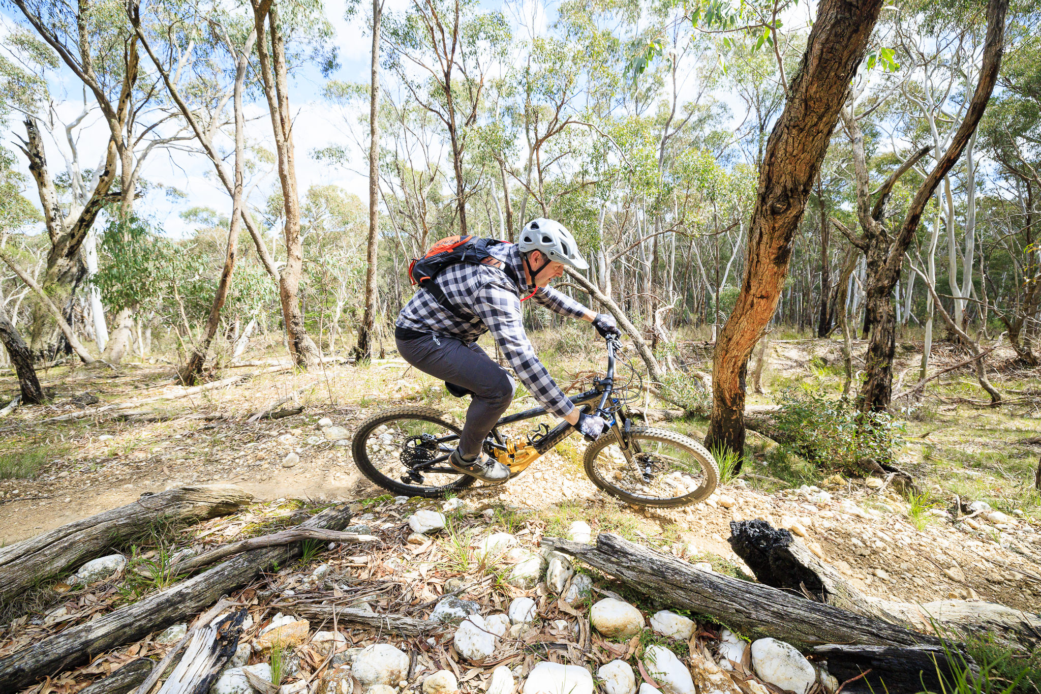 creswick mtb trails