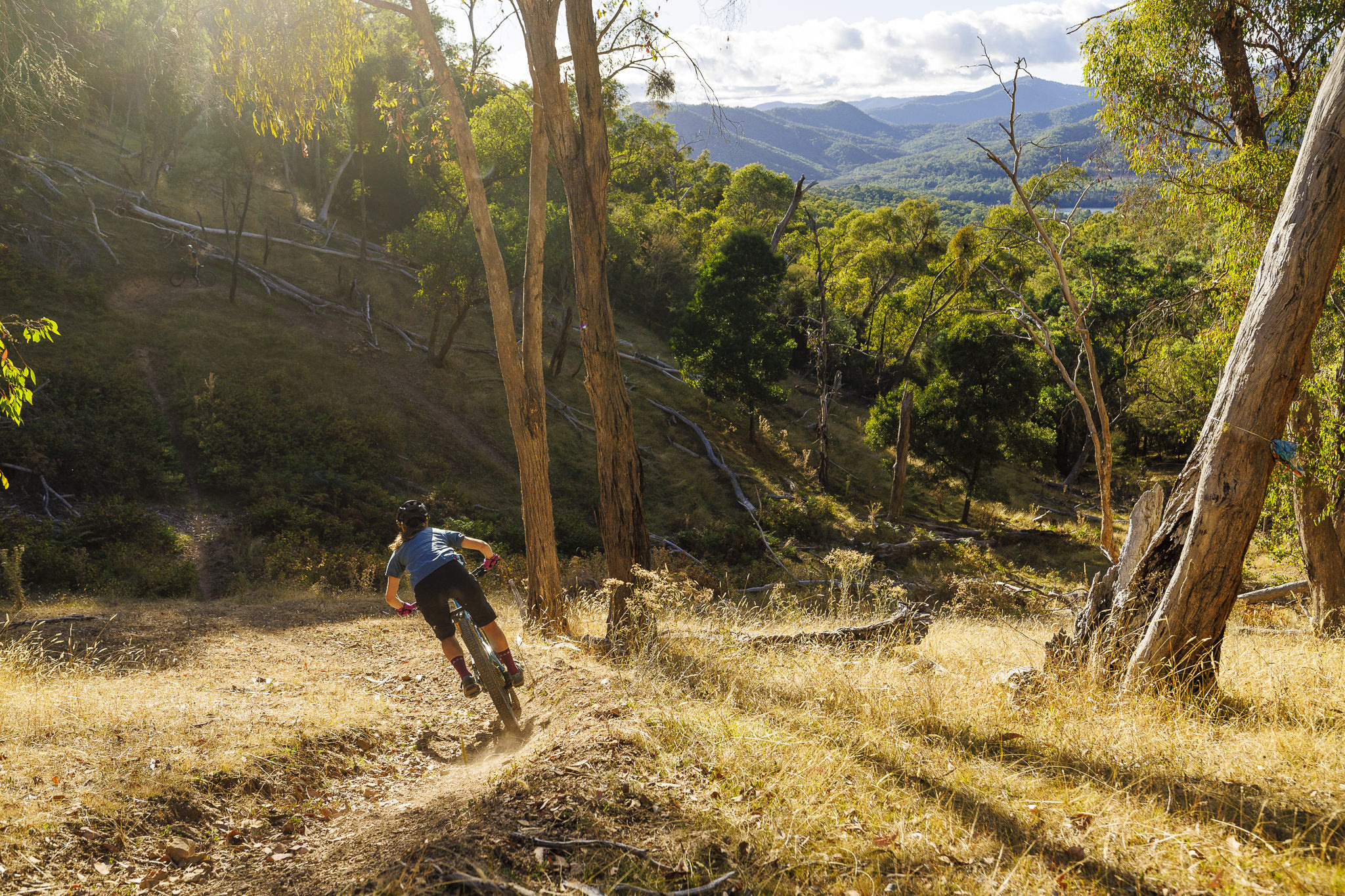Eildon mountain bike trails