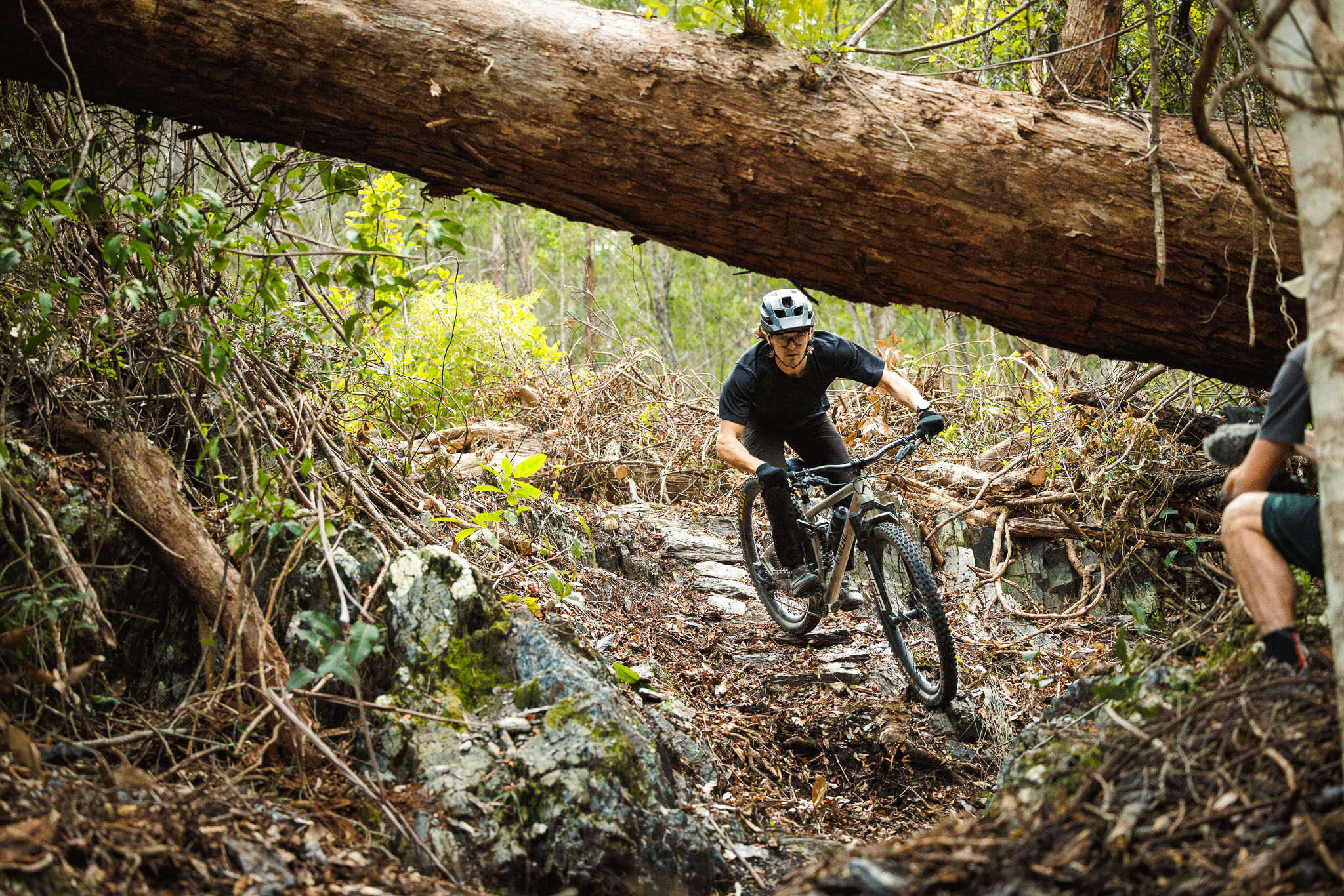 narooma mountain bike trails
