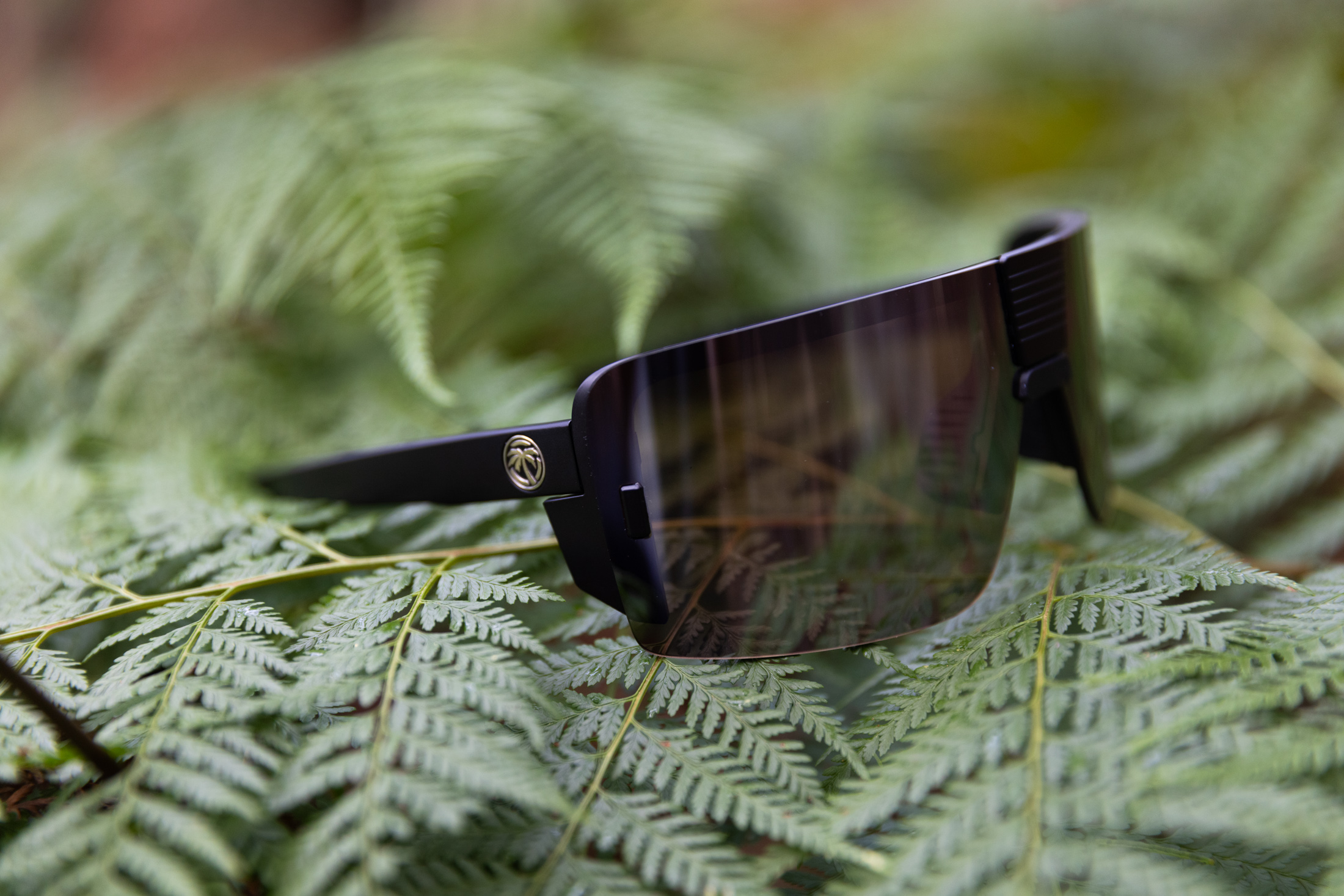 Heatwave Vector glasses
