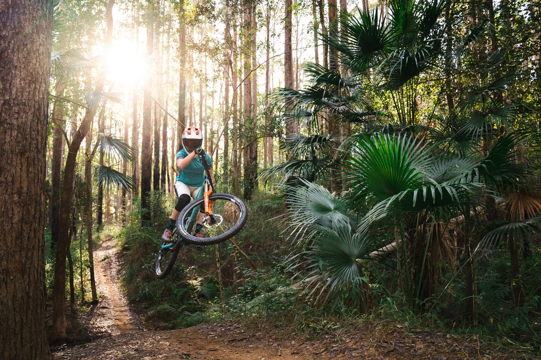 a mountain biker riding the sunshine coast mtb trails