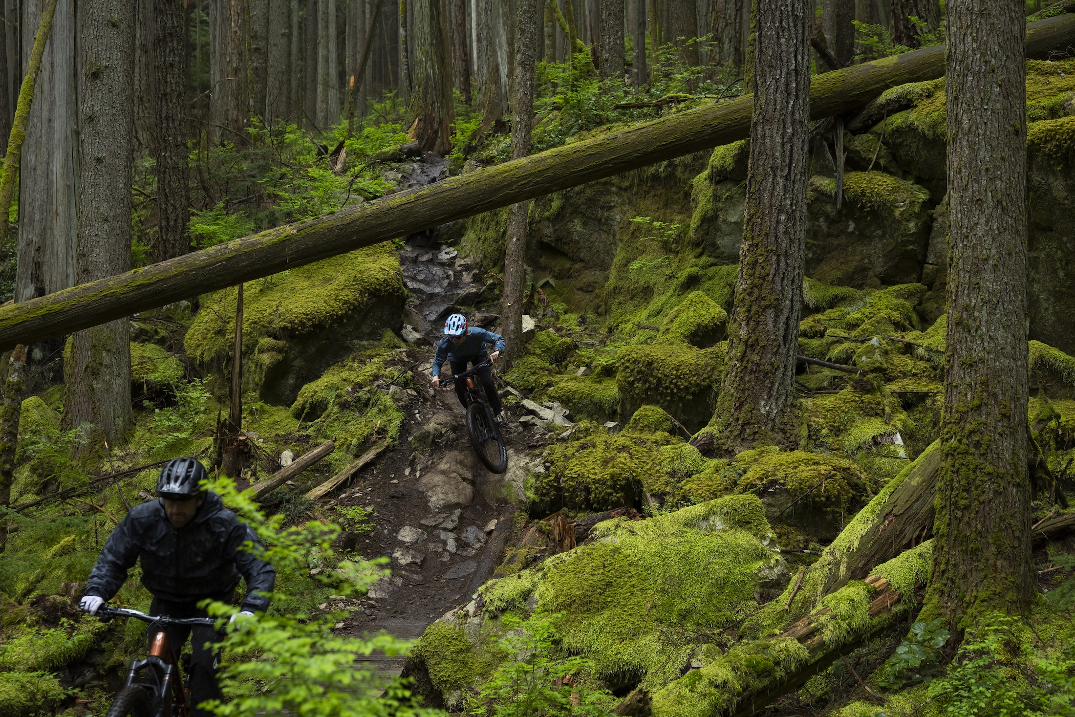 2025 trek slash+ emtb electric