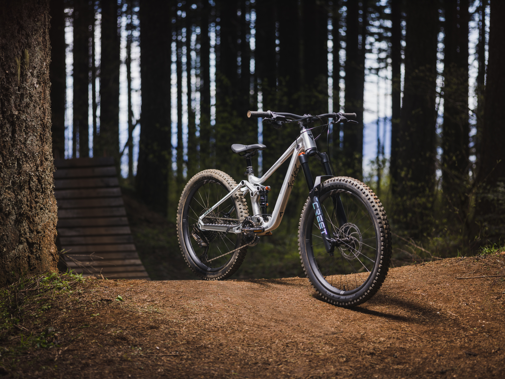 2025 giant faith kids full suspension mountain bike