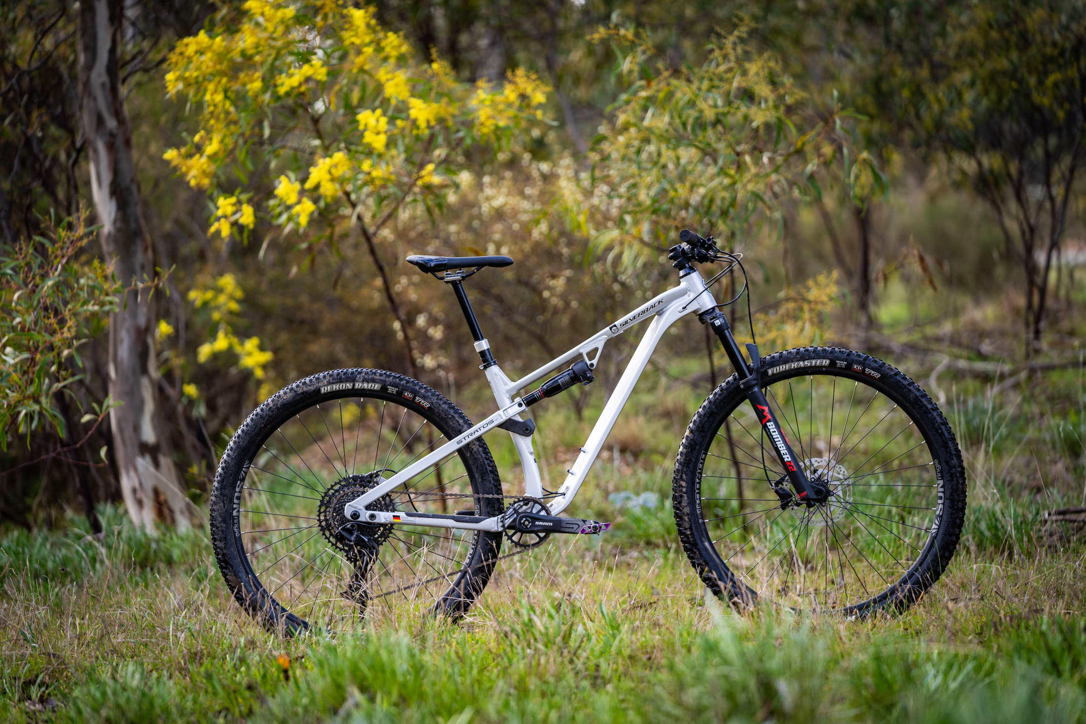 Silverback 29er dual suspension on sale