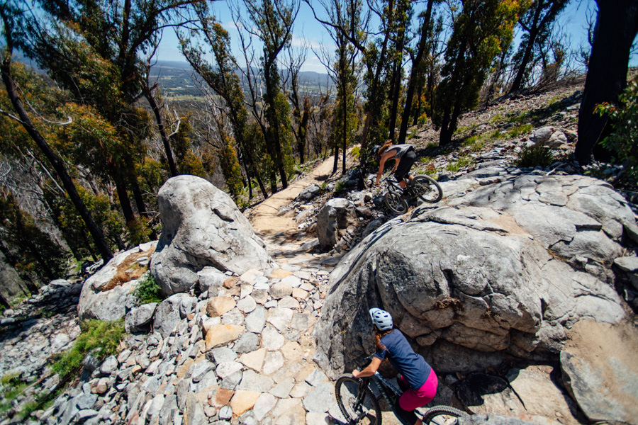 The Best Mountain Bike Trails in Tasmania, are they in St Helens?